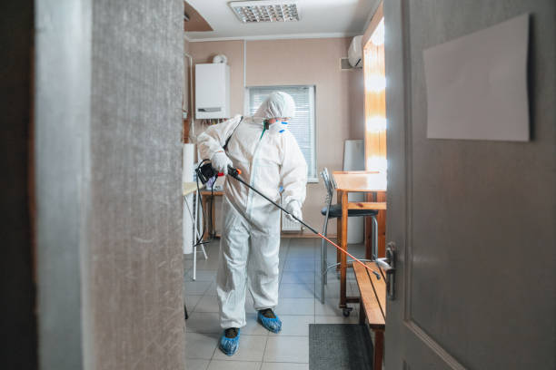 Best Mold Remediation for Rental Properties  in USA